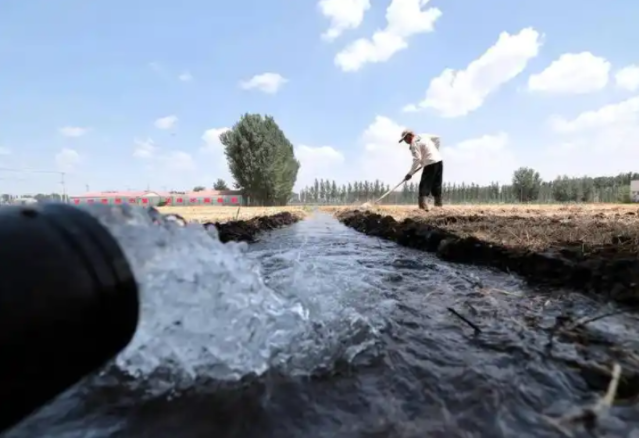 挽回了丢失掌管了公道也给文身服务供给者敲响了法令警钟 挽回了丢失掌管了公道也给文身服务供给者敲响了法令警钟