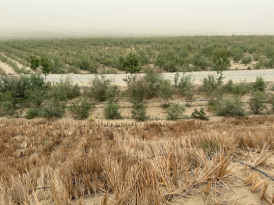 教育将在学生教师业界专家共同形成的圈层中自然生发恣意生长 教育将在学生教师业界专家共同形成的圈层中自然生发恣意生长
